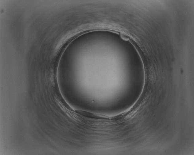 X0000071761499200606301117