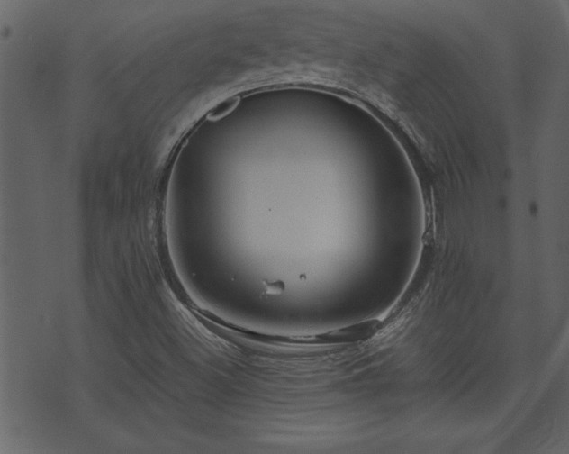 X0000071761500200606301117