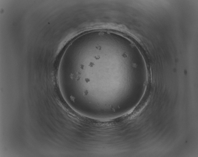 X0000071761501200606301117