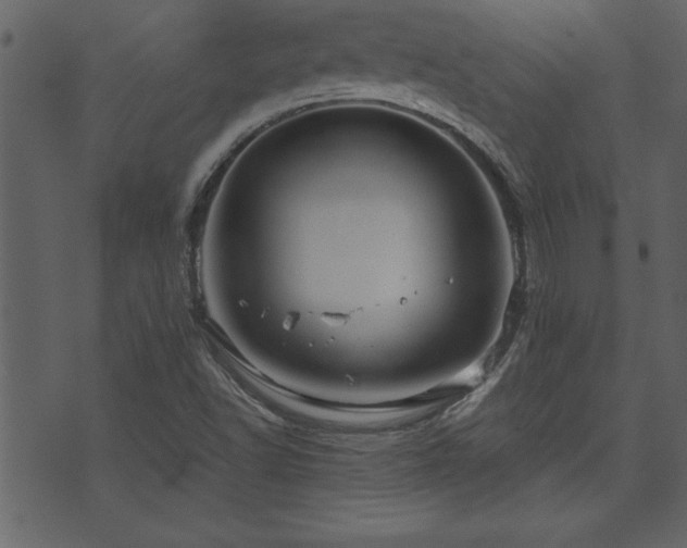 X0000071761502200606301117