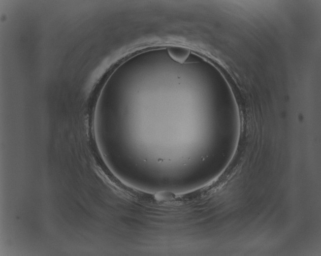 X0000071761503200606301117