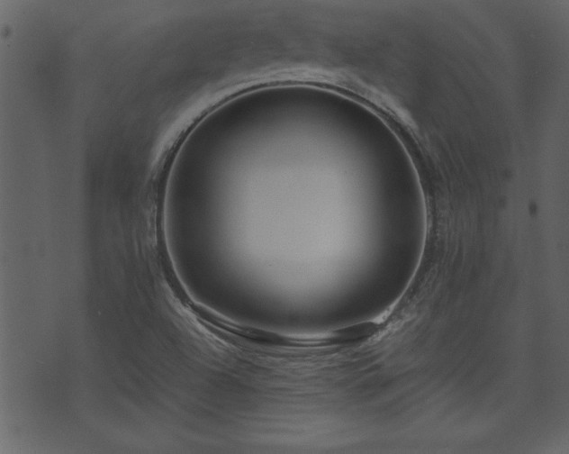 X0000071761504200606301117