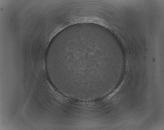 X0000071761505200606301117