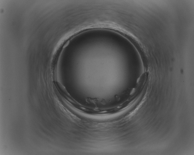 X0000071761506200606301117