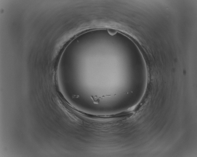 X0000071761507200606301117