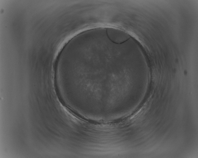 X0000071761508200606301117