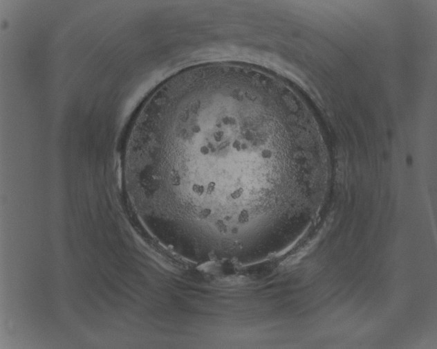 X0000071761509200606301117