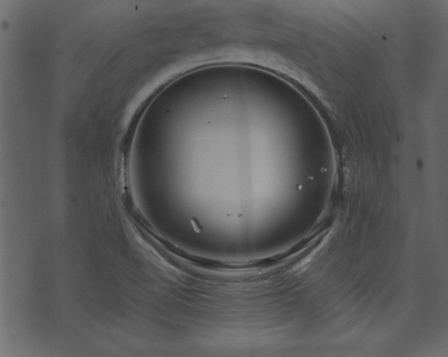 X0000071761510200606301117