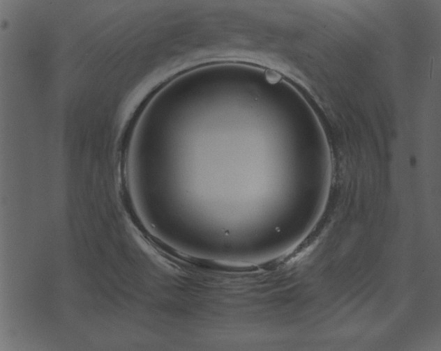 X0000071761511200606301117