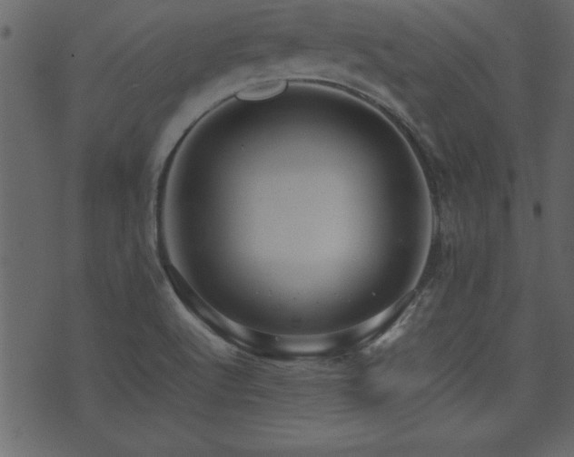 X0000071761512200606301117