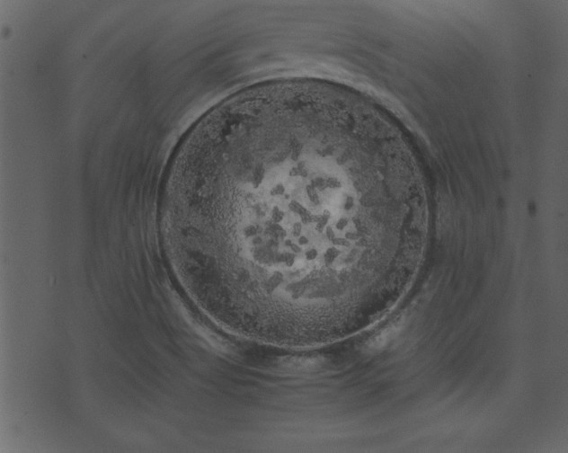 X0000071761513200606301117