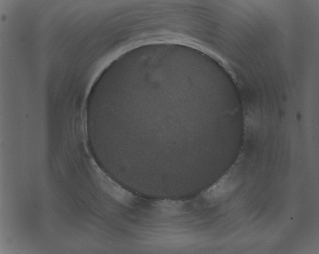 X0000071761514200606301117