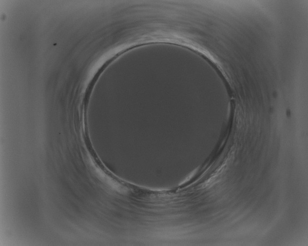 X0000071761515200606301117