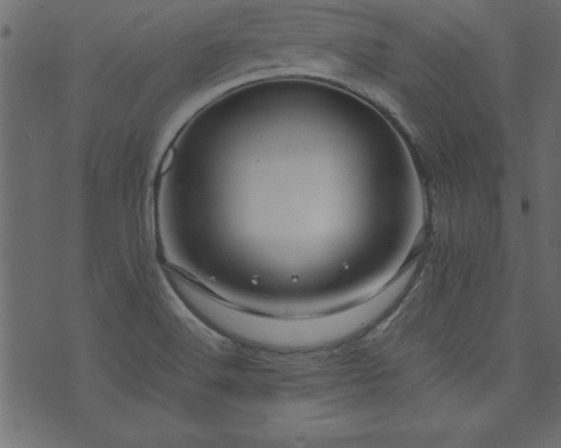 X0000071761516200606301117