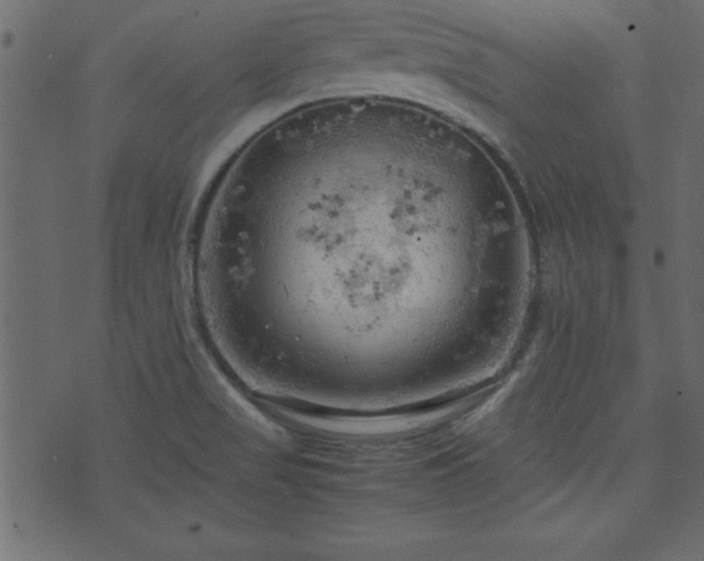 X0000071761517200606301117