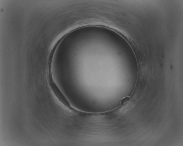 X0000071761518200606301117