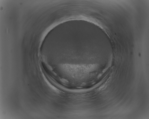 X0000071761519200606301117