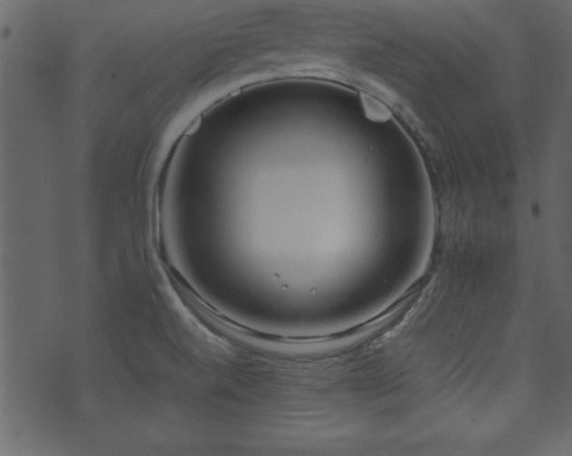 X0000071761520200606301117