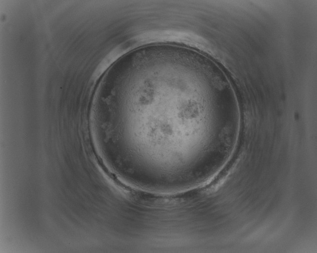 X0000071761521200606301117