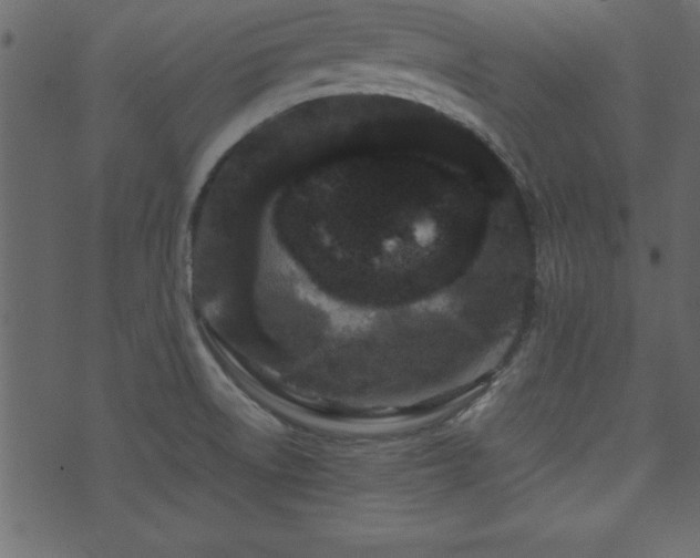 X0000071761522200606301117