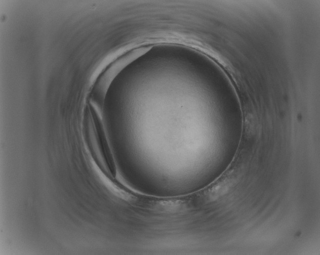 X0000071761523200606301117