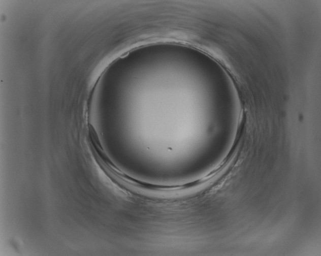 X0000071761524200606301117