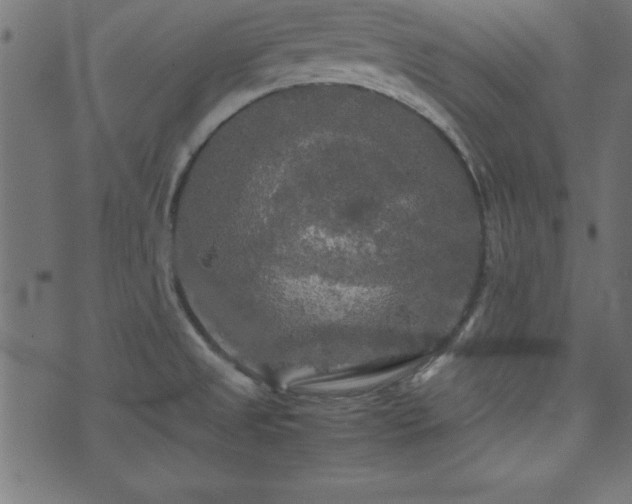 X0000071761525200606301117