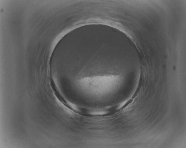 X0000071761527200606301118