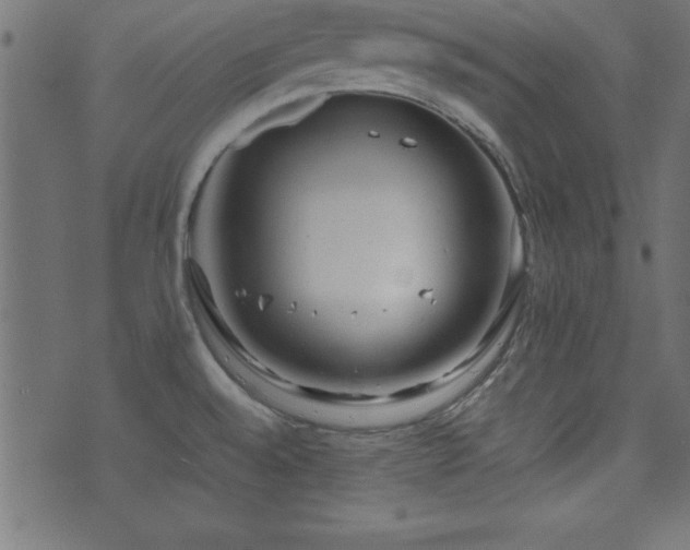 X0000071761528200606301118