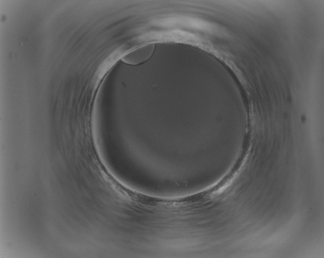 X0000071761529200606301118