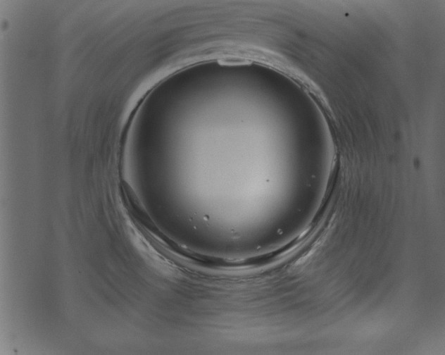 X0000071761530200606301118