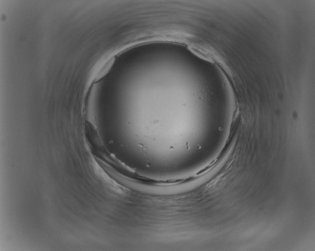 X0000071761532200606301118