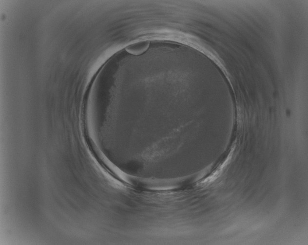 X0000071761533200606301118