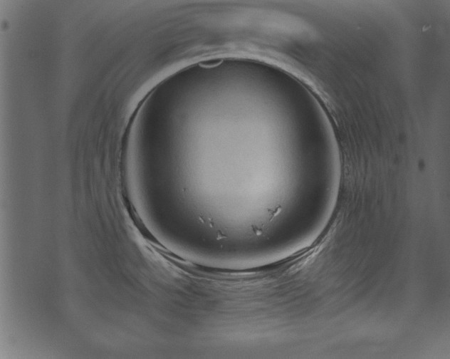 X0000071761534200606301118