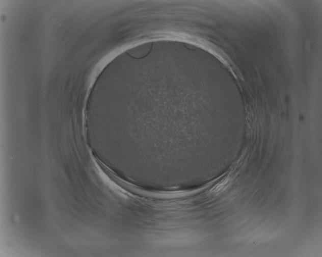 X0000071761535200606301118