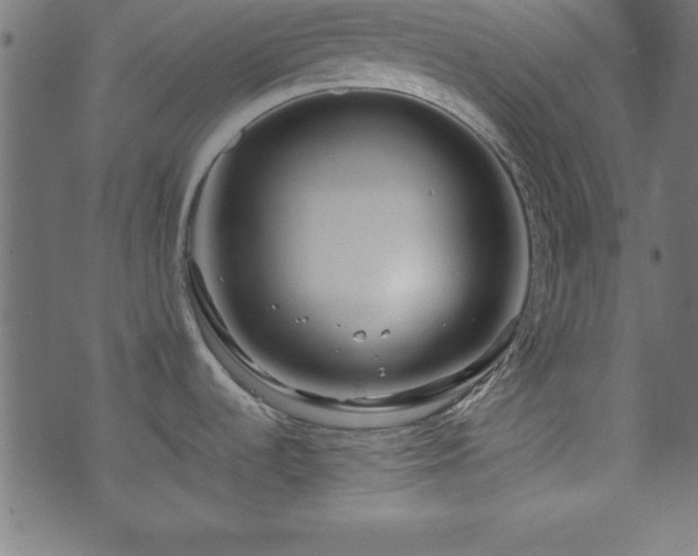 X0000071761536200606301118