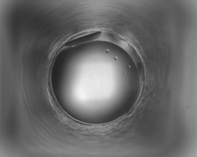 X0000071760001200607071248