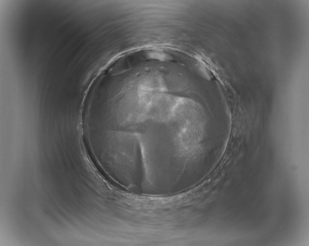 X0000071760002200607071248