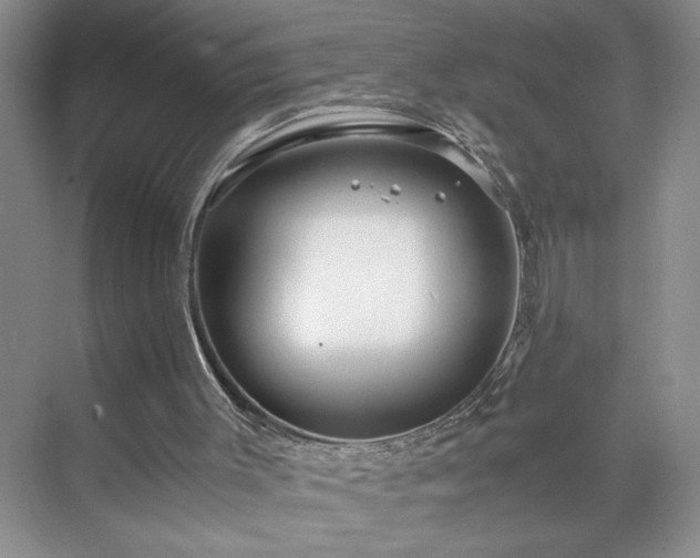 X0000071760003200607071248