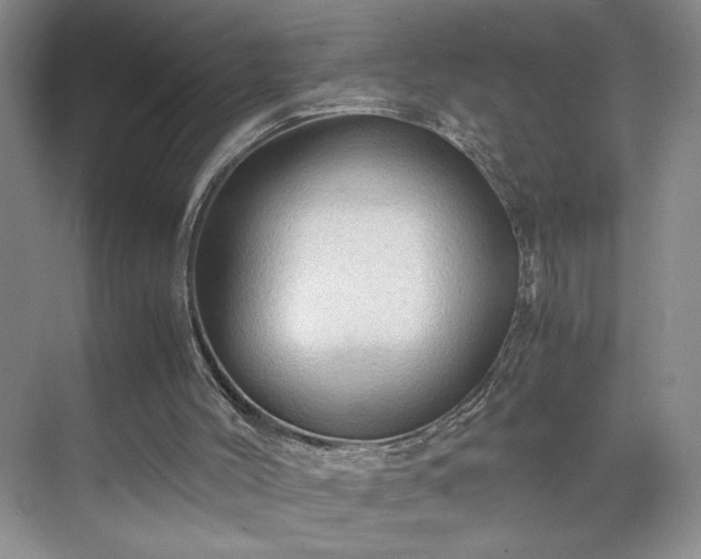 X0000071760004200607071248