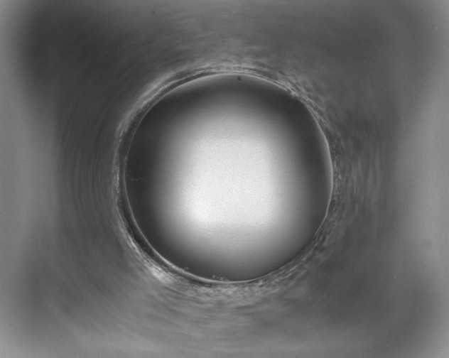 X0000071760005200607071248