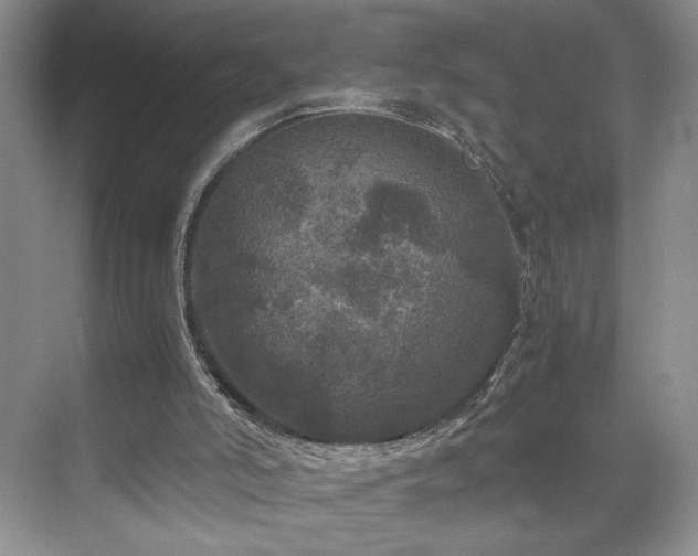 X0000071760006200607071248