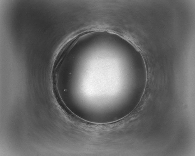 X0000071760007200607071248