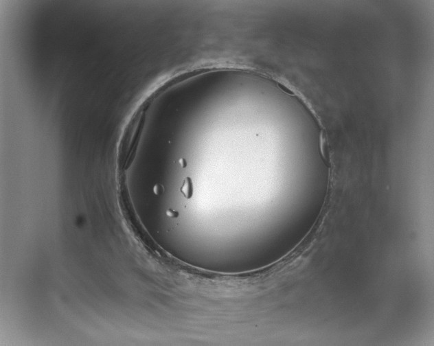 X0000071760008200607071248