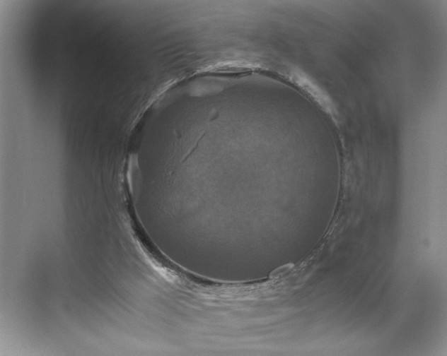 X0000071760009200607071248