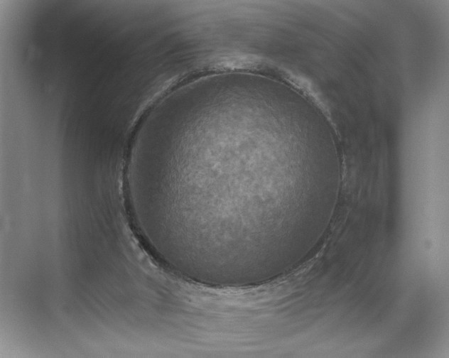 X0000071760010200607071248