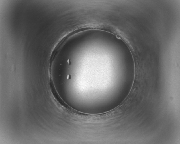 X0000071760011200607071248