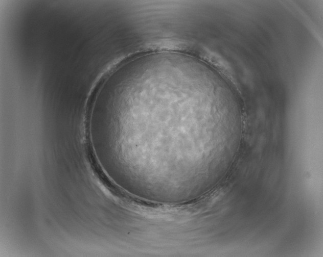 X0000071760012200607071248