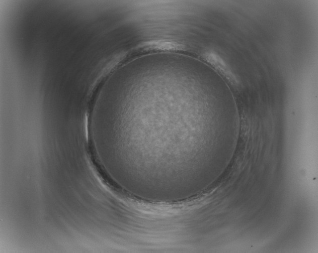 X0000071760014200607071248