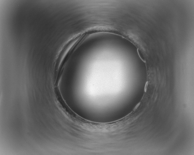 X0000071760015200607071247